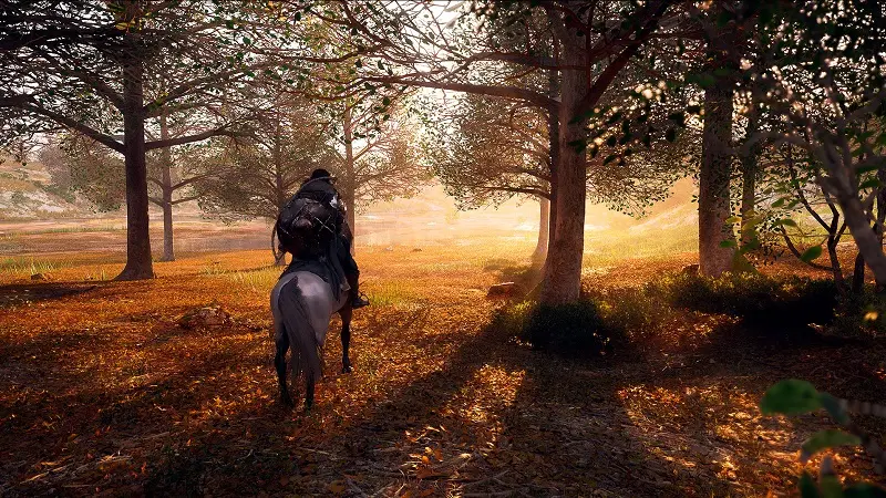 Visuel Hollow Knight Silksong